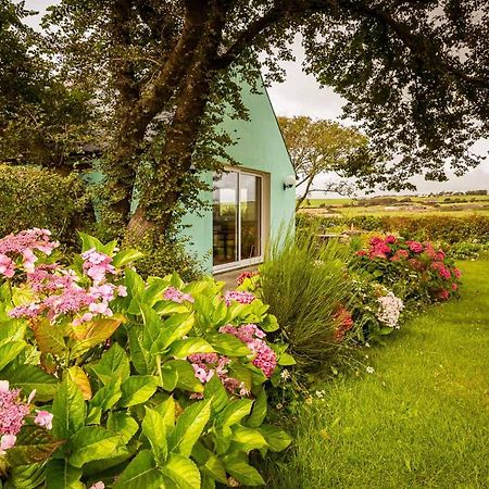 The Wild Atlantic Hideaway Apartment โคลนาคิลตี ภายนอก รูปภาพ