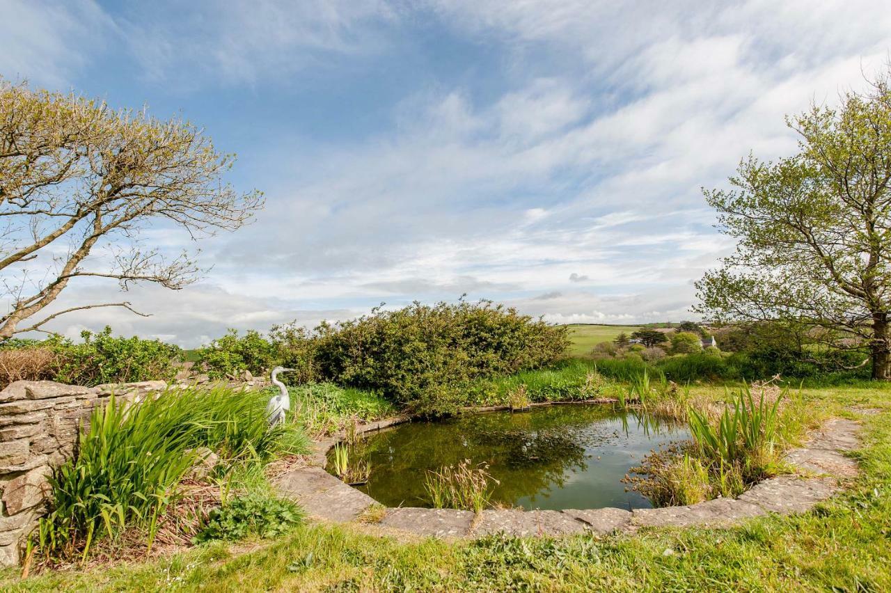 The Wild Atlantic Hideaway Apartment โคลนาคิลตี ภายนอก รูปภาพ